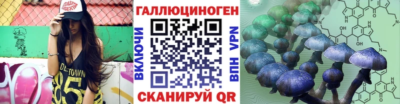 Галлюциногенные грибы Psilocybe  Спас-Клепики 